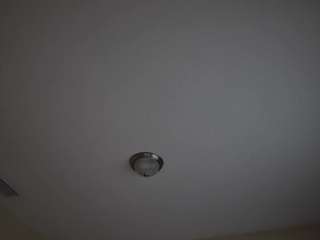 pinkperfectxxx webcam