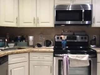Bigman260 live cam preview