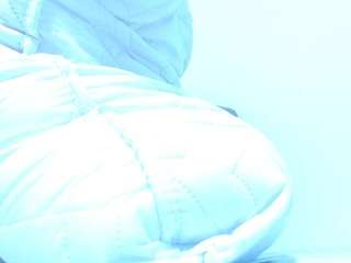 lexy.sweet