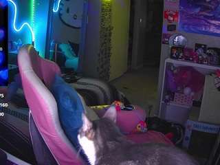 princesssbella Live Webcam on CamSoda