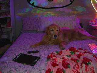 princesssbella Live Webcam on CamSoda
