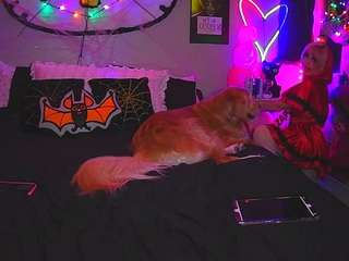 BOO BOO KITTY