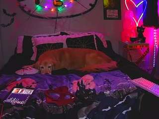 princesssbella Live Webcam on CamSoda