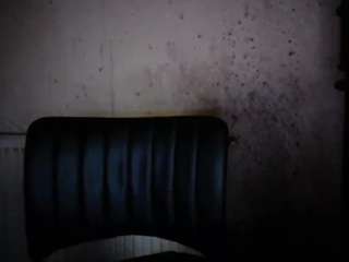 sexygeny webcam