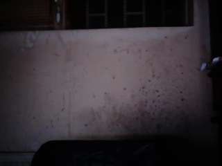 sexygeny live cam profile