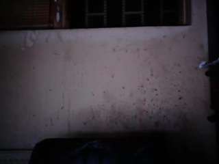 sexygeny live cam profile