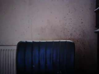 sexygeny live cam profile