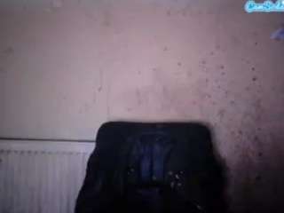 Live stream of sexygeny