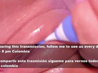 aniiee