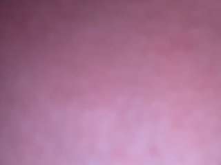 gabyferrer Live Webcam on CamSoda