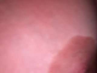 gabyferrer Live Webcam on CamSoda