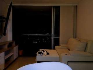 gabyferrer Sex Cam Show