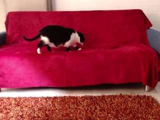 greecebella's live room