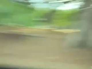 salommecruz
