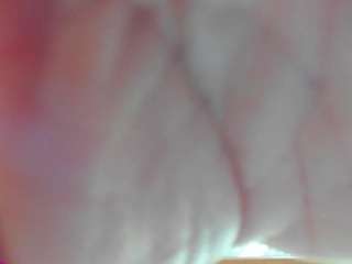 candyteen