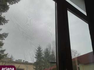 candyteen's CamSoda show and profile