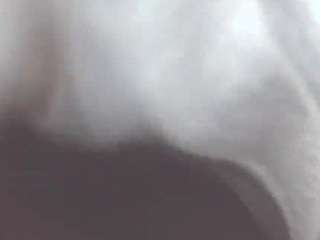 briefsguy4life Live Webcam on CamSoda