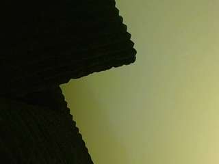 tighttinymilf Live Webcam on CamSoda