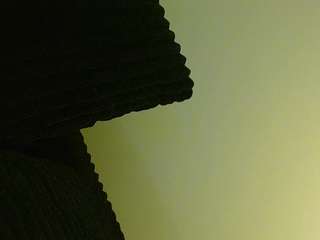 tighttinymilf Live Webcam on CamSoda