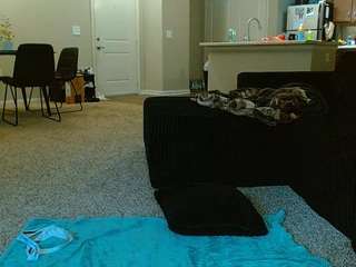 Live webcam model tighttinymilf on Soda Cams