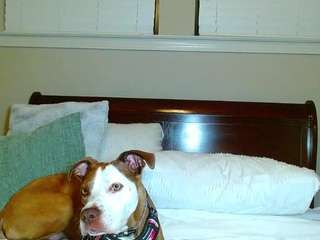 tighttinymilf webcam