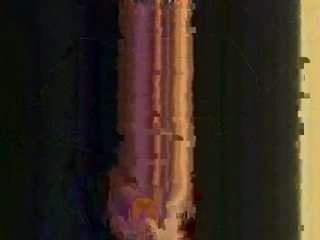 abouttreefitey