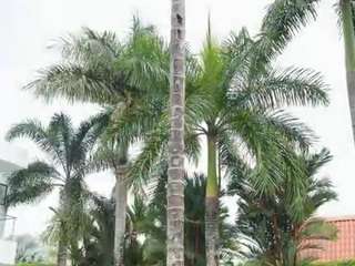 Live webcam model viioletlover on Soda Cams