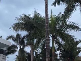 Live webcam model viioletlover on Soda Cams