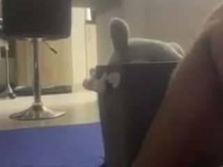 closegovernment962 webcam