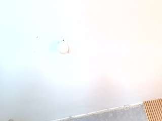 firedirty live cam preview