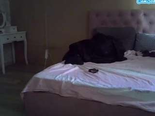 lanabel Live Webcam on CamSoda