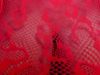 cammeronloggan webcam