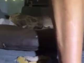 sharatopvers live cam