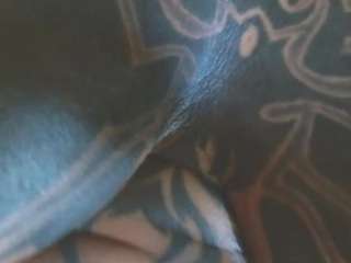 liquidfire webcam model