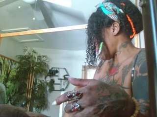 liquidfire webcam model