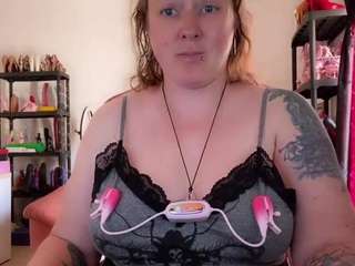 kisica webcam