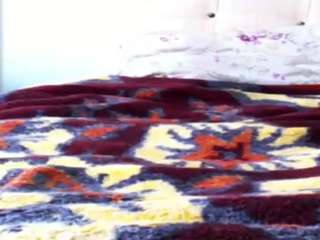 alisex3131