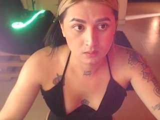 Evelin-fox