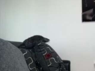 carmelbunny from CamSoda is Freechat