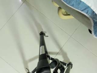 alizehorny