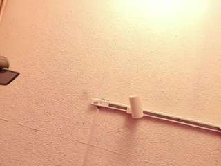 sophia-stuart webcam