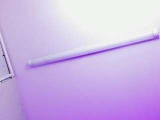 sophia-stuart