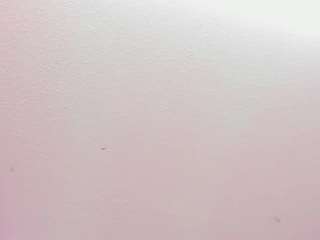sophia-stuart live cam