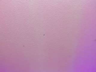 sophia-stuart live cam preview